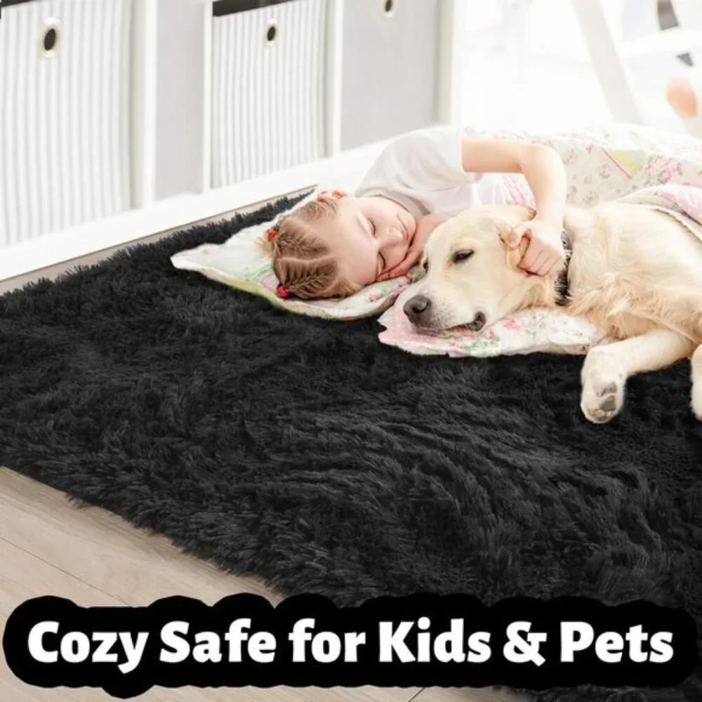 Black Washable Modern Fluffy 4x6ft Shag Area Rug Carpet for Home & Bedroom Decor